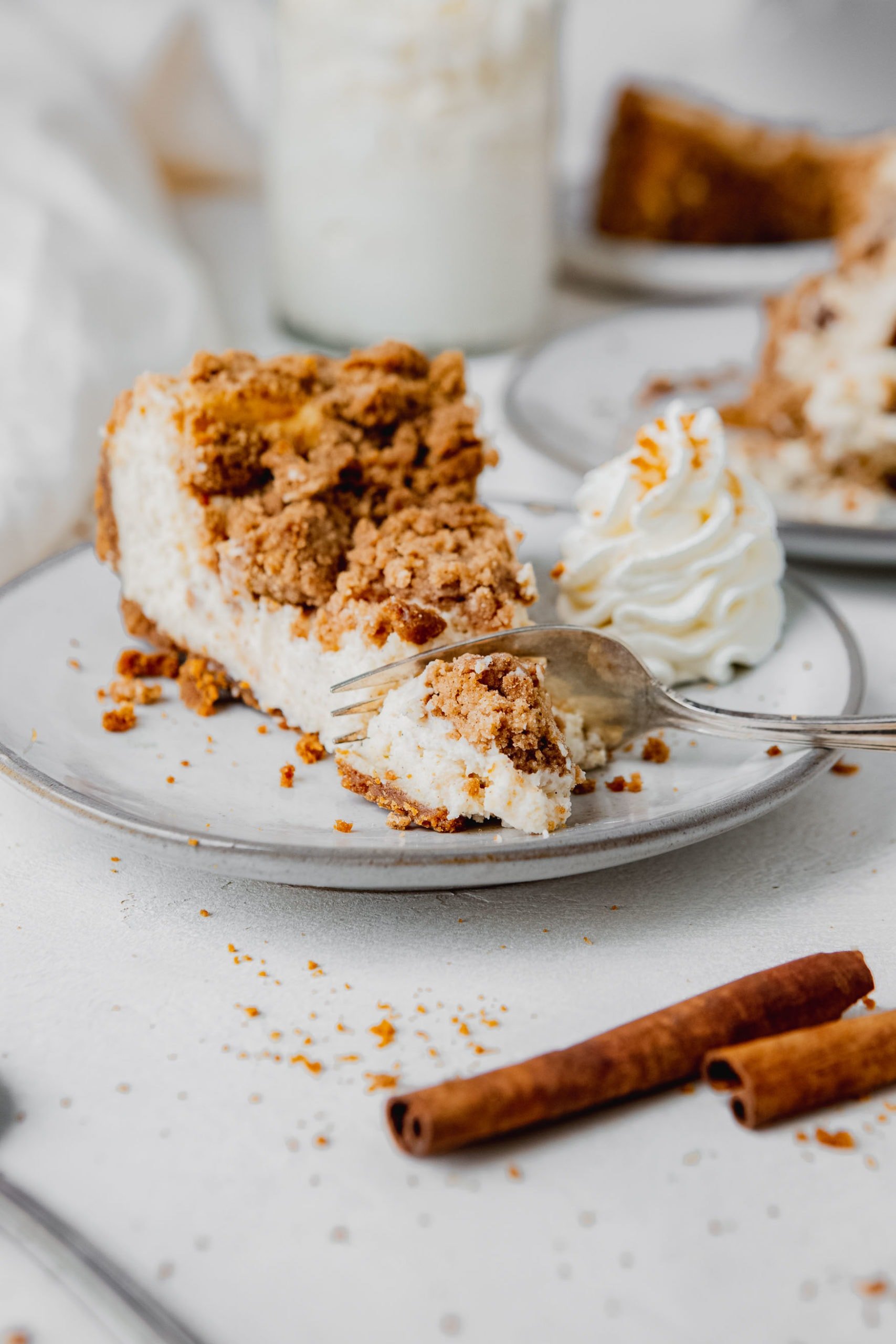 Biscoff Snickerdoodle Cookie Explosion Cheesecake