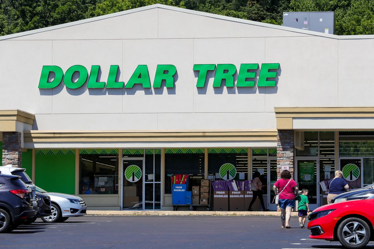 14 Current Finds From the Greenback Tree