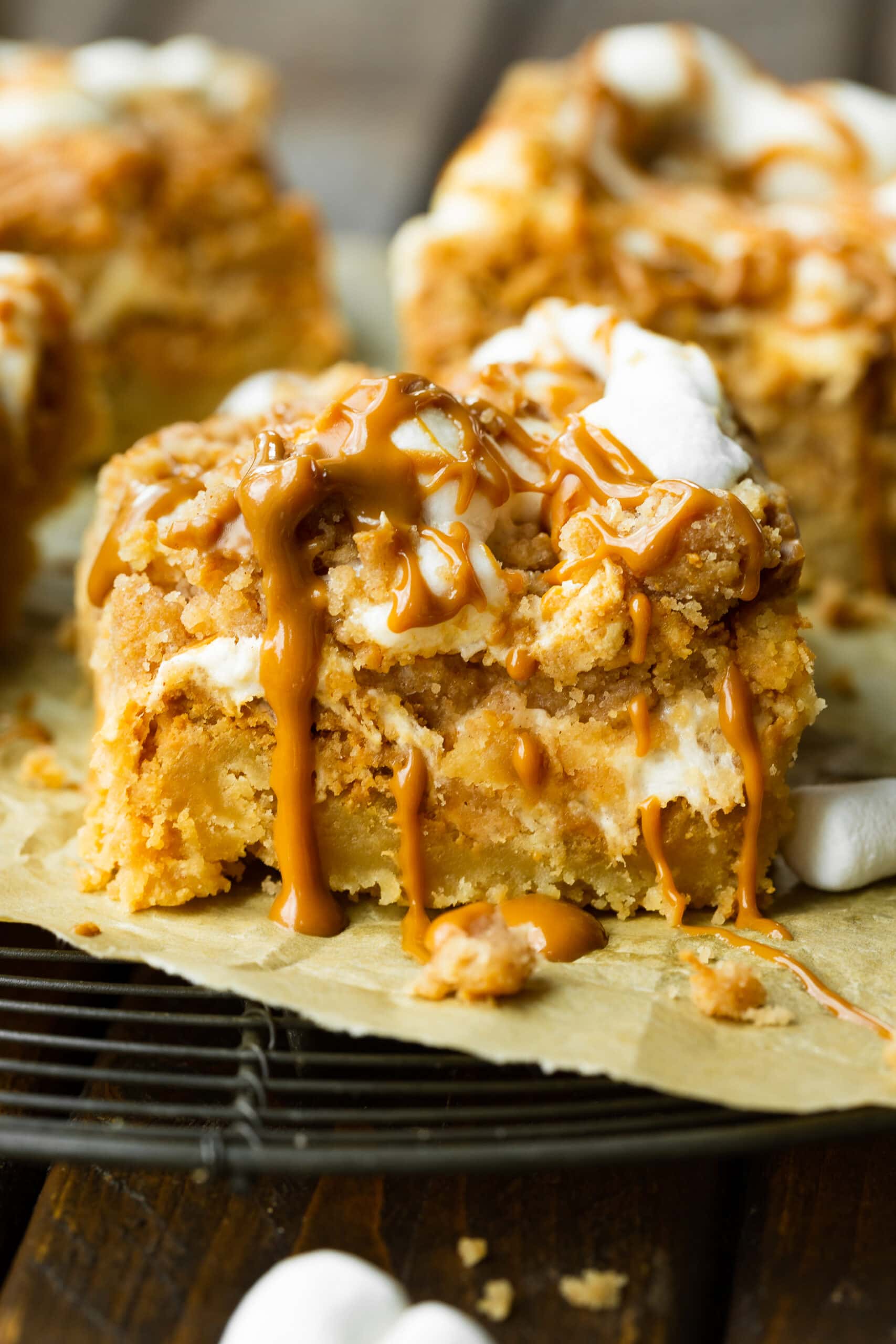 Wealthy Gooey Biscoff Crumb Bars